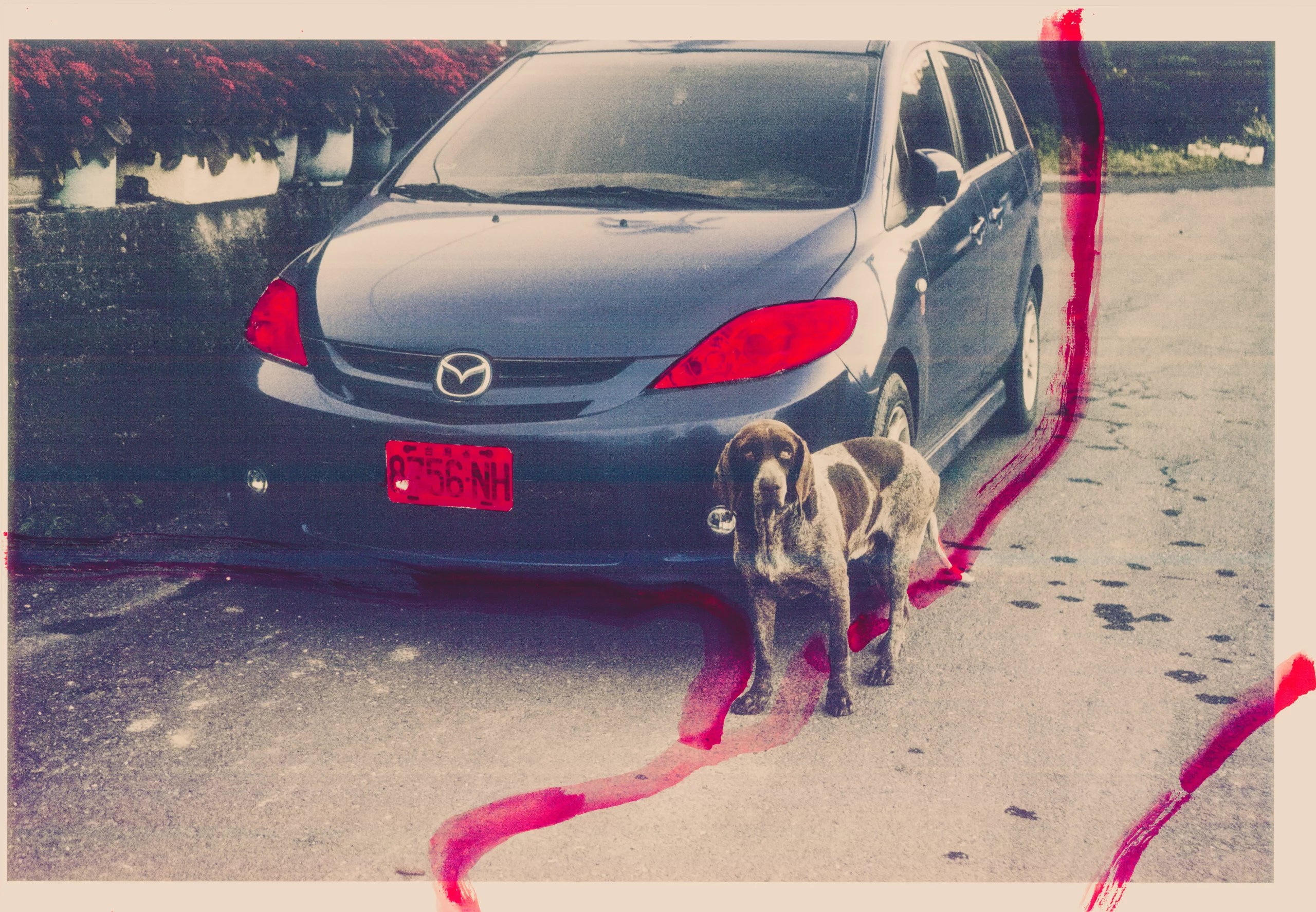 Higanbana — piece 11