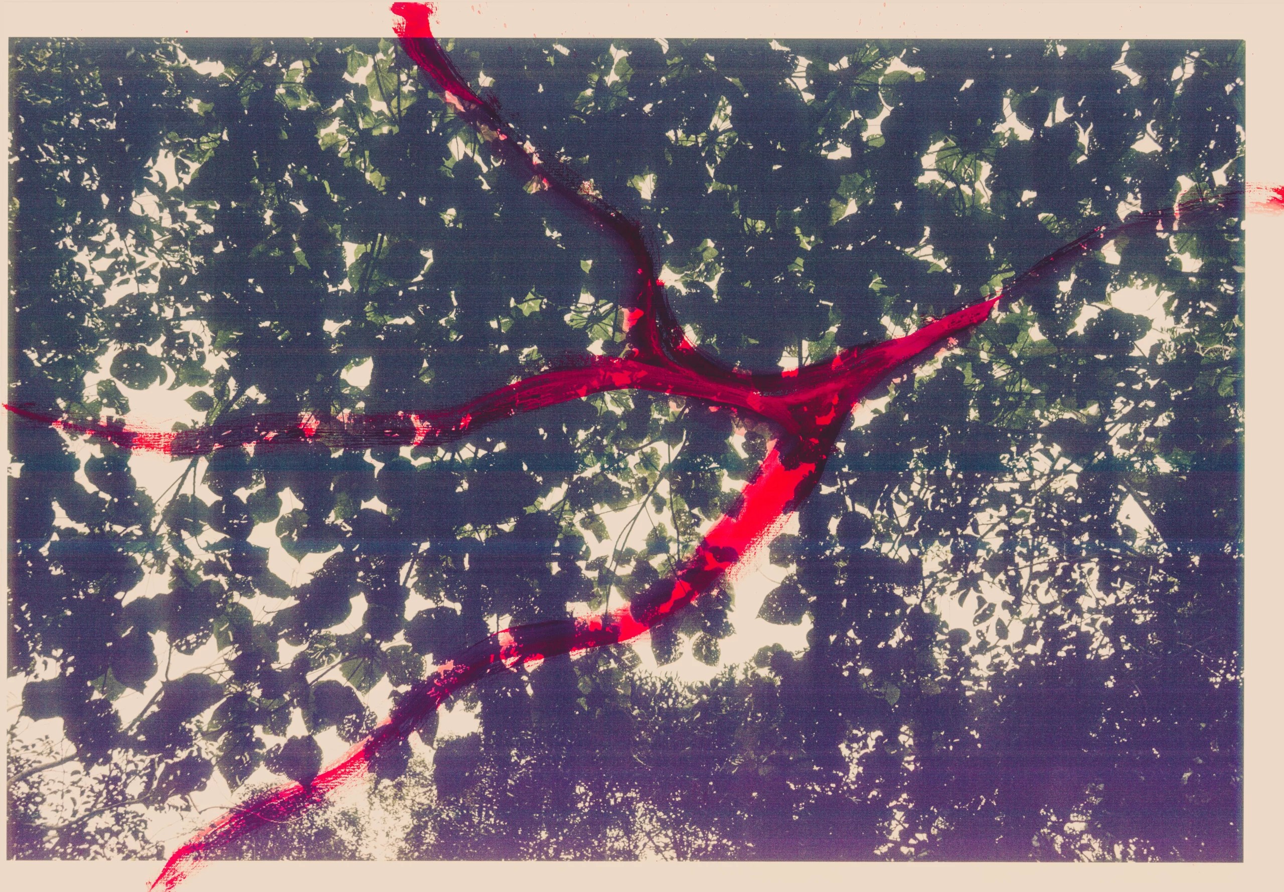 Higanbana — piece 13