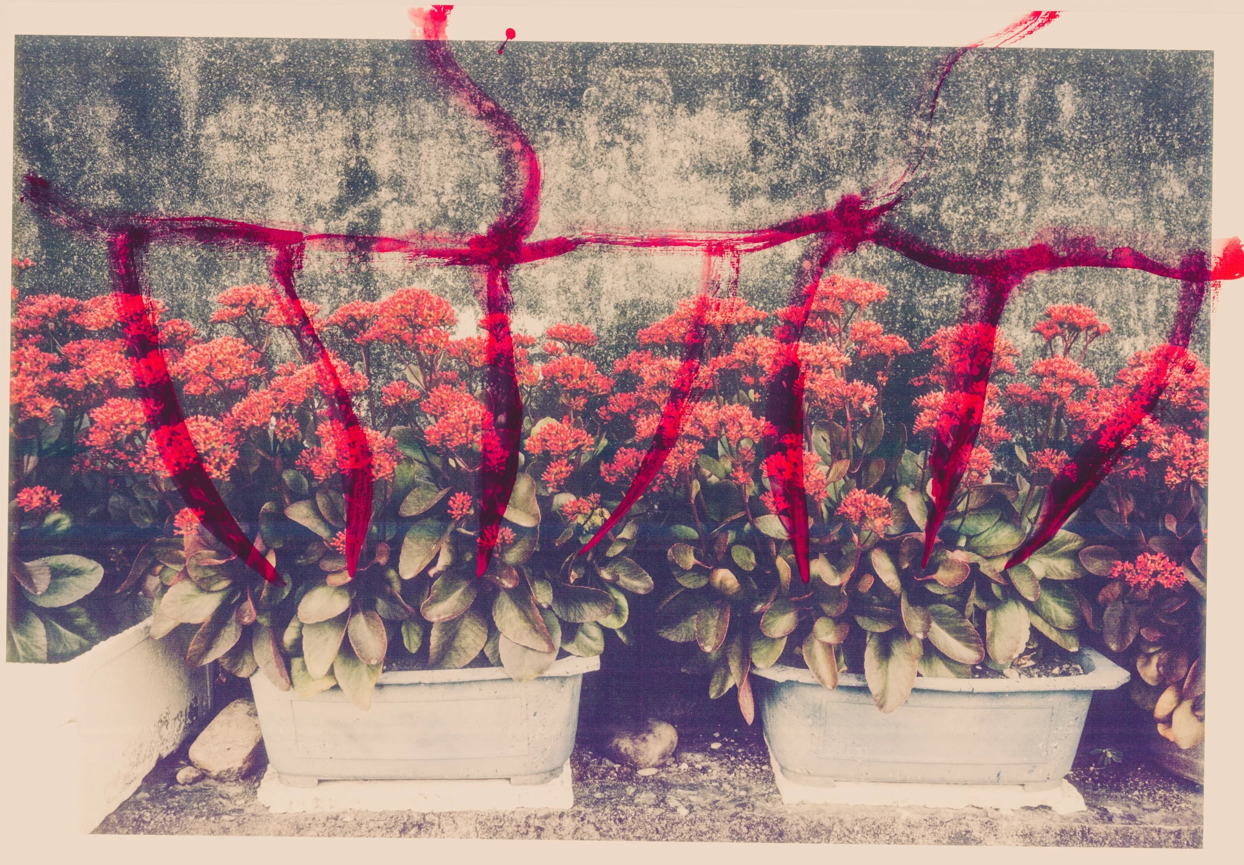 Higanbana — piece 14